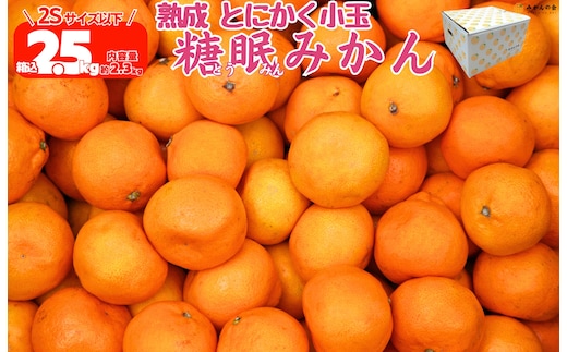 ［先行予約］熟成 みかん とにかく 小玉 箱込2.5kg ( 内容量 2.3kg ) 2Sサイズ以下 秀品 優品 混合 有田みかん 和歌山産 産地直送 家庭用 【みかんの会】