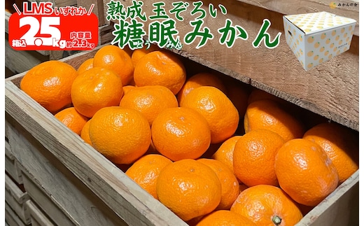 ［先行予約］熟成 みかん 箱込2.5kg ( 内容量 2.3kg ) SMLサイズのいずれか 秀品 優品 混合 和歌山県産 産地直送 贈答用 ［みかんの会］