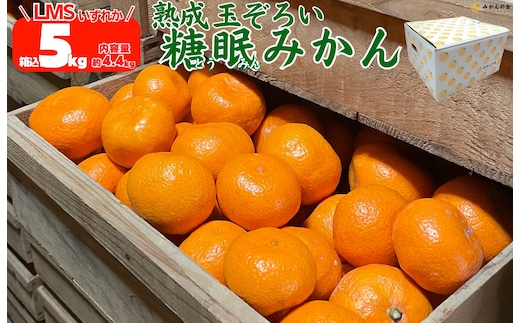 ［先行予約］熟成 みかん 箱込5kg ( 内容量 4.4kg ) SMLサイズのいずれか 秀品 優品 混合 和歌山県産 産地直送 贈答用 ［みかんの会］
