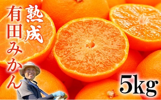 熟成 有田みかん 5kg（約50個）
