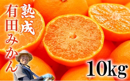 熟成 有田みかん 10kg（約100個）