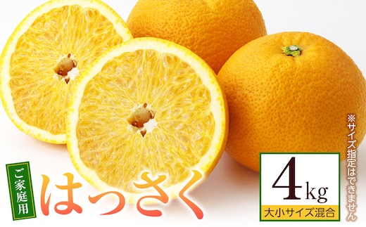 ［先行予約］ご家庭用 はっさく約4kg 大小サイズ 混合