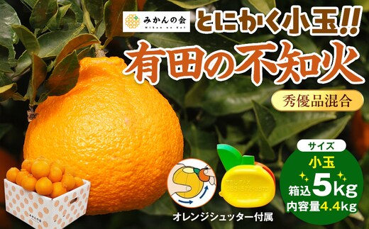 不知火 とにかく 小玉 箱込 5kg(内容量約 4.4kg) 秀優品混合 和歌山県産 産地直送［みかんの会］