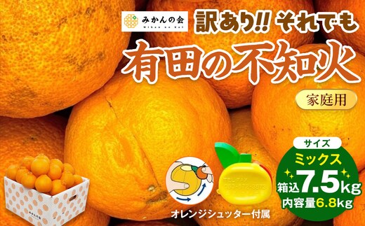 不知火 訳あり それでも 有田の不知火 箱込 7.5kg(内容量約 6.8kg) サイズミックス 和歌山県産 産地直送［みかんの会］