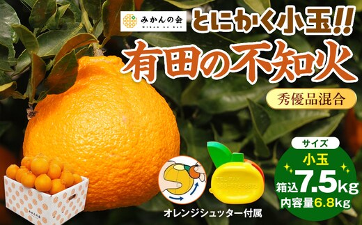 不知火 とにかく 小玉 箱込 7.5kg(内容量約 6.8kg) 秀優品混合 和歌山県産 産地直送［みかんの会］