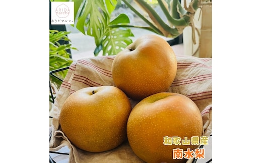 有田の 樹上 成熟 梨 農家直送 南水 梨 約2kg［2026年・先行予約］