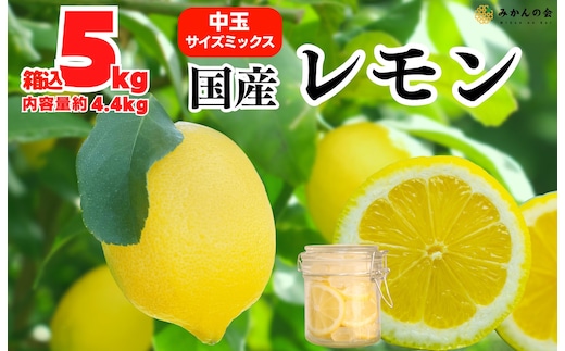 レモン 中玉 国産 箱込5kg(内容量約4.4kg) 秀品 L 2L 3L サイズミックス 和歌山県有田産 【みかんの会】