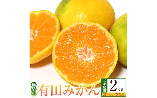 ［先行予約］ご家庭用 極早生 有田みかん 約2kg 2S～Lサイズ混合