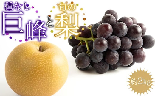 ［先行予約］種なし巨峰と旬の梨 約２kg［2026年8月上旬以降順次発送］