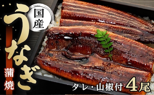 年内発送 国内産うなぎ蒲焼4尾（タレ・山椒付き）合計500g以上【申込は2025年12月24日まで】