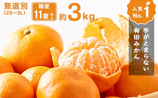 手が止まらない 訳あり 有田みかん 約3kg 大きさ無選別（2S?3L） 糖度11度以上 鳴川農園 ［2026年11月以降発送予定］