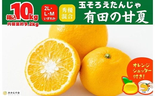 甘夏 玉ぞろい 箱込 10kg ( 内容量約 9.2kg ) 秀品 優品 混合 2L L M サイズのいずれか 和歌山県 産地直送 ［皮むき器付き］ ［みかんの会］