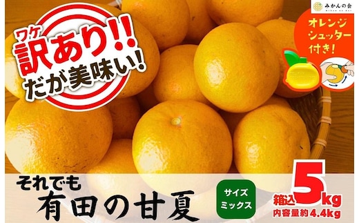 訳あり それでも 甘夏 箱込 5kg (内容量約4.4kg) サイズミックス 産地直送 家庭用 皮むき器付き［みかんの会］