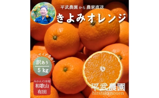 農家直送！きよみオレンジ 5kg 訳あり≪サイズ混合≫［平武農園］～蛍飛ぶ町から旬の便り～［2026年3月下旬から順次発送予定］