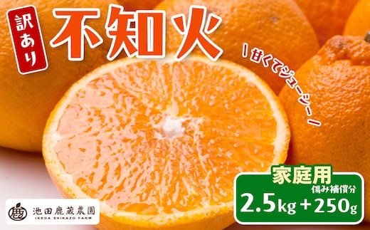 ［先行予約］家庭用 不知火2.5kg+250g（傷み補償分）［デコポンと同品種・人気の春みかん］［わけあり・訳あり］
