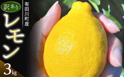 【有田川町】レモン 和歌山県産 訳あり 国産レモン 3kg