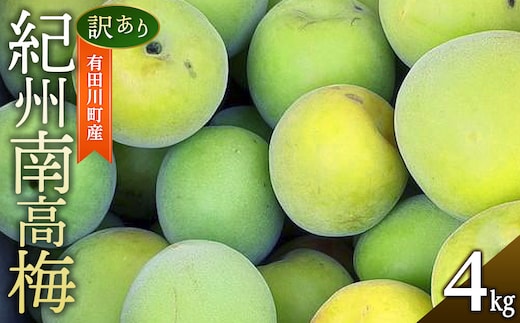 青梅 4kg 紀州南高梅 シロップ・梅酒・梅干し用等 和歌山県有田産 訳あり 2026年5月下旬～7月上旬発送予定