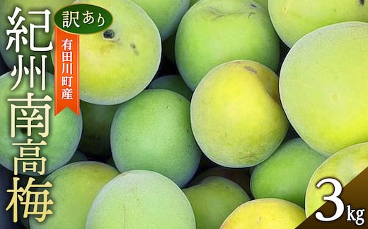 青梅 3kg 訳あり 紀州南高梅 シロップ・梅酒・梅干し用など 和歌山県有田産 2026年5月下旬～7月上旬発送予定