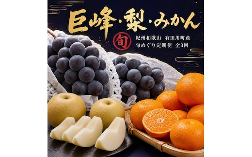 【8・9・12月 全3回】紀州産 巨峰とフルーツ定期便B（巨峰・梨・みかん） 【魚鶴】