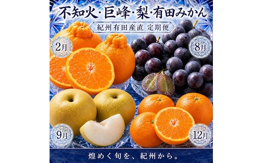 【2・8・9・12月 全4回】紀州産 巨峰とフルーツ定期便（巨峰・梨・みかん・不知火） 【魚鶴】