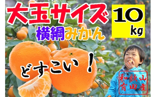 横綱有田みかん 大玉サイズ10kg