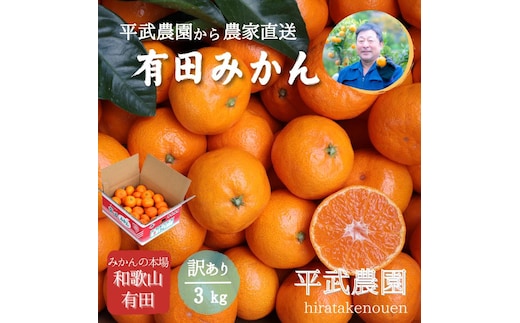 農家直送！有田みかん（3kg 訳あり≪サイズ混合≫） 平武農園 ～蛍飛ぶ町から旬の便り～