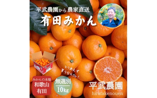 農家直送！有田みかん（10kg 無選別≪秀品･訳あり品･サイズ混合≫）平武農園 ～蛍飛ぶ町から旬の便り～