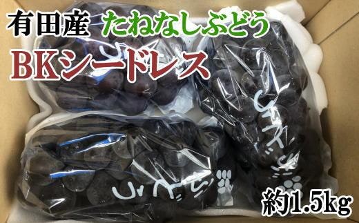 ［先行予約］［数量限定］希少なぶどう「BKシードレス」約1.5kg★2027年8月上旬頃より順次発送