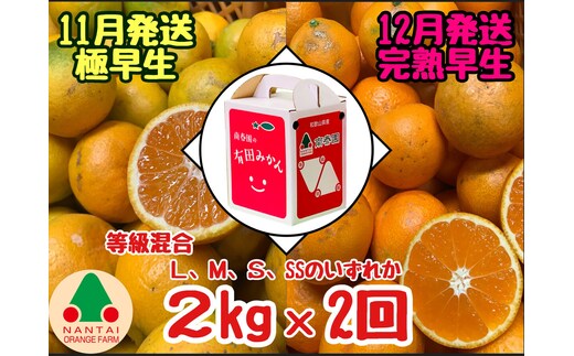 定期便 11・12月発送 有田みかん 2種 食べくらべ 極早生 ＆ 完熟早生 2kg 和歌山 みかん 南泰園 全2回