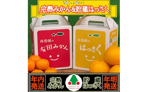 《みかんは年内発送》定期便 手さげ箱 セット 完熟早生 有田みかん ＆ はっさく 全2回 南泰園