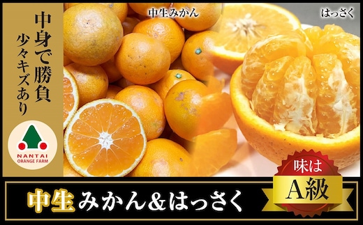 定期便 手さげ箱 セット 中生 有田みかん ＆ はっさく 全2回 南泰園