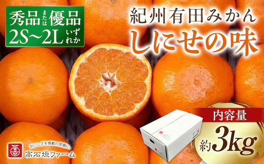 有田みかん しにせの味 約3kg 2S～2Lのいずれか 秀品または優品