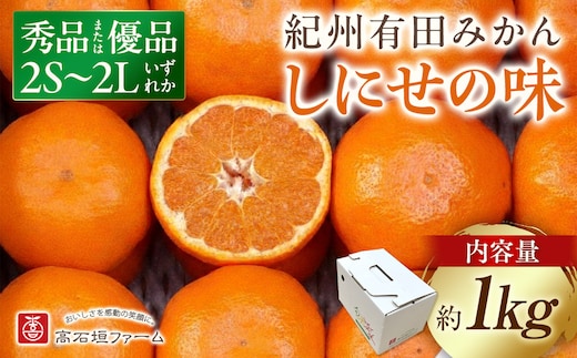 有田みかん しにせの味 約1kg 2S～2Lのいずれか 秀品または優品