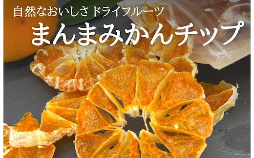 ドライフルーツ みかんチップ 100g ( 20g × 5袋 ) 和歌山県産 果物使用 自社製造 【みかんの会】