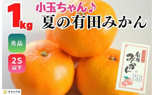 【5月出荷予定】小玉ちゃん ハウスみかん 温室栽培 夏の有田みかん 1kg 秀品 2Sサイズ以下 和歌山県 産地直送 みかんの会