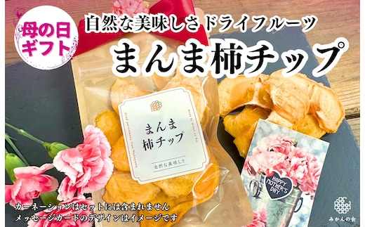 【母の日ギフト】まんま柿チップ 200g (40g × 5袋) ドライフルーツ 和歌山県産 果物使用 国内製造 【みかんの会】