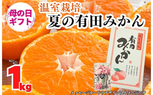 【母の日ギフト】ハウスみかん 温室栽培 夏の有田みかん 1kg 秀品 L M Sサイズのいずれか 和歌山県産 産地直送 【みかんの会】