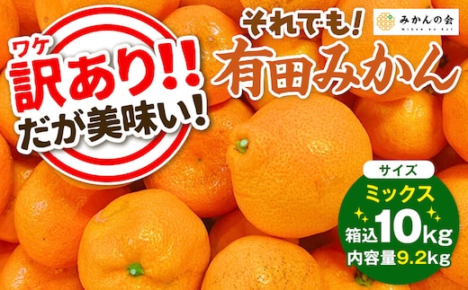 訳あり それでも 有田みかん 箱込 10kg (内容量約 9.2kg) サイズミックス B品 有田みかん 和歌山県産 産地直送 家庭用［2025年11月中旬より順次出荷予定］［みかんの会］
