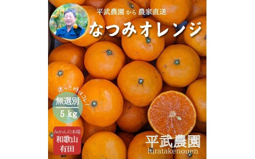農家直送！なつみオレンジ 5kg 無選別≪秀品・訳あり品・サイズ混合≫【平武農園】～蛍飛ぶ町から旬の便り～
