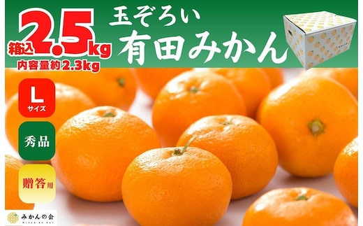 みかん Lサイズ 秀品 箱込 2.5kg (内容量約 2.3kg) 有田みかん 和歌山県産 産地直送 贈答用 ［2026年11月中旬より順次出荷予定］［みかんの会］