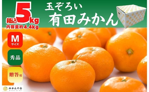 みかん Ｍサイズ 秀品 箱込 5kg (内容量約 4.4kg) 有田みかん 和歌山県産 産地直送 贈答用 ［2026年11月中旬より順次出荷予定］［みかんの会］