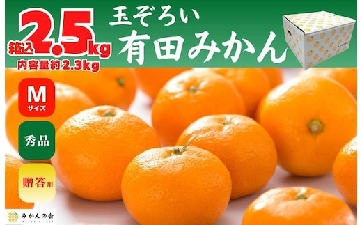 みかん Ｍサイズ 秀品 箱込 2.5kg (内容量約 2.3kg) 有田みかん 和歌山県産 産地直送 贈答用 ［2026年11月中旬より順次出荷予定］［みかんの会］