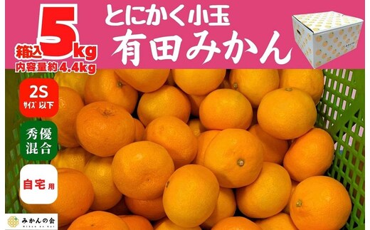 みかん とにかく小玉 箱込 5kg (内容量約 4.4kg) 2Sサイズ以下 秀品 優品 混合 有田みかん 和歌山県産 産地直送 家庭用 ［2026年11月中旬頃より順次出荷予定］［みかんの会］ 