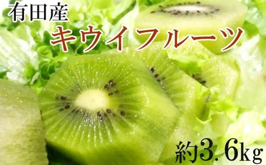 ［人気］有田産キウイフルーツ約3.6kg（サイズおまかせ）★2027年1月下旬頃より順次発送
