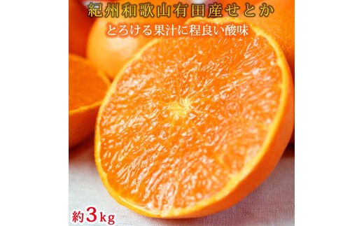 紀州有田産せとか約3kg とろける食感！ジューシー柑橘［2027年3月上旬以降発送］［先行予約］［UT03w］