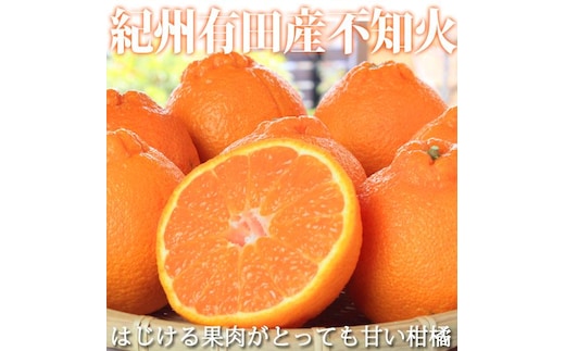 ［ご家庭用訳有り］紀州有田産不知火(しらぬひ) 約8.5kg［2027年2月中旬以降発送］［先行予約］［UT41w］