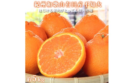 紀州有田産不知火(しらぬひ) 約５kg［2027年2月中旬以降発送］［先行予約］［UT40w］