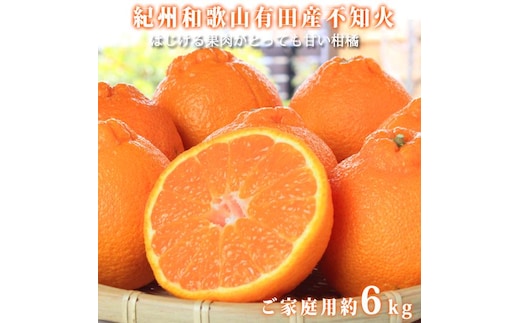 ［ご家庭用訳あり］紀州有田産不知火(しらぬひ) 約6kg［2027年2月中旬以降発送］［先行予約］［UT136w］