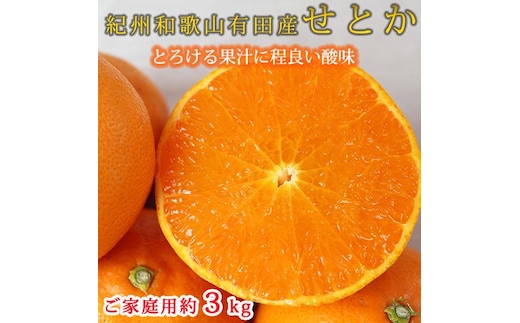 紀州有田産せとか約3kg［ご家庭用］ とろける食感！ジューシー柑橘［2027年2月下旬以降発送］［先行予約］［UT133w］
