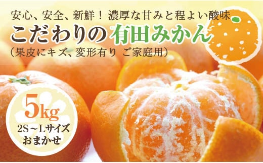 こだわりの有田みかん ご家庭用 5kg